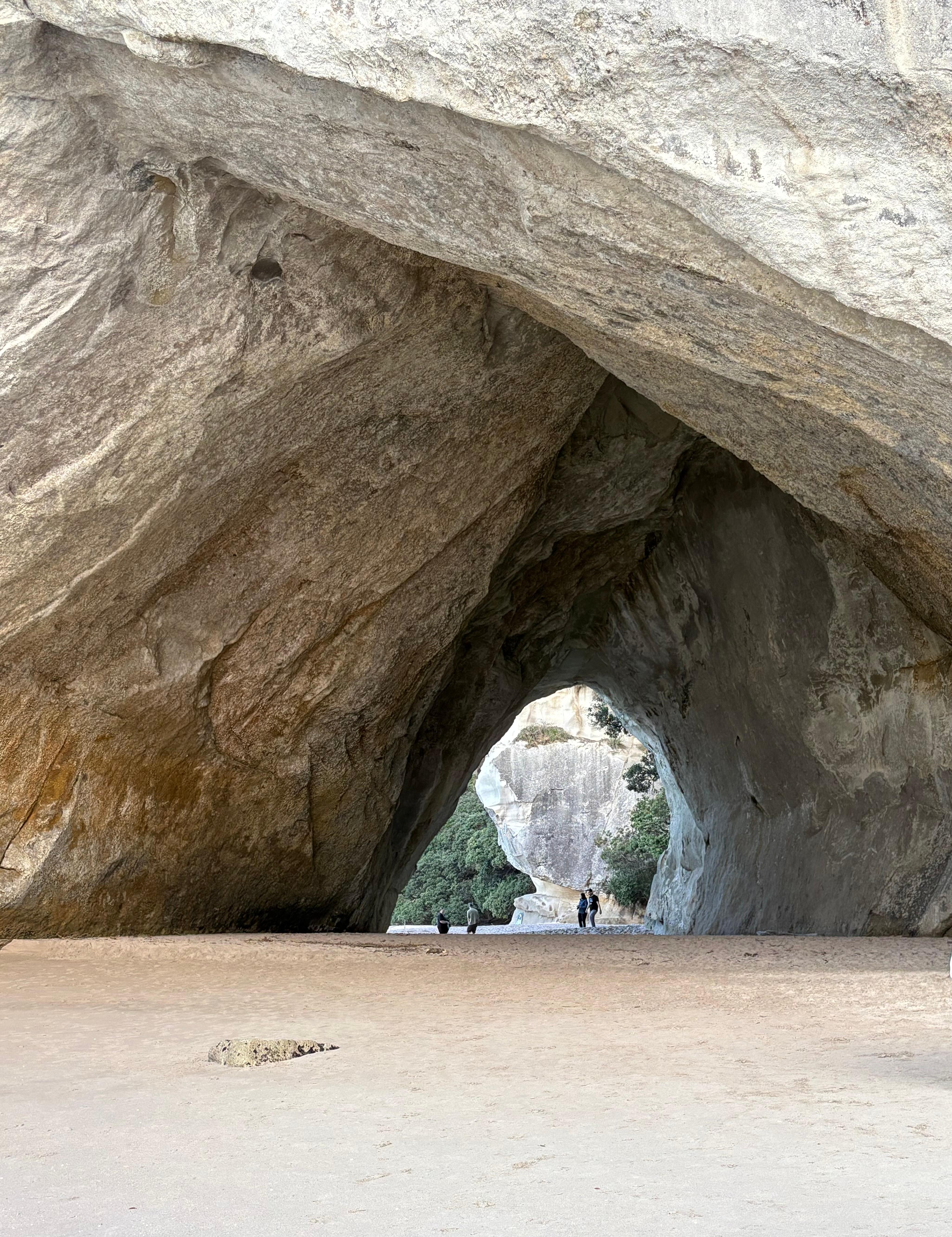 Cathedral cove walk