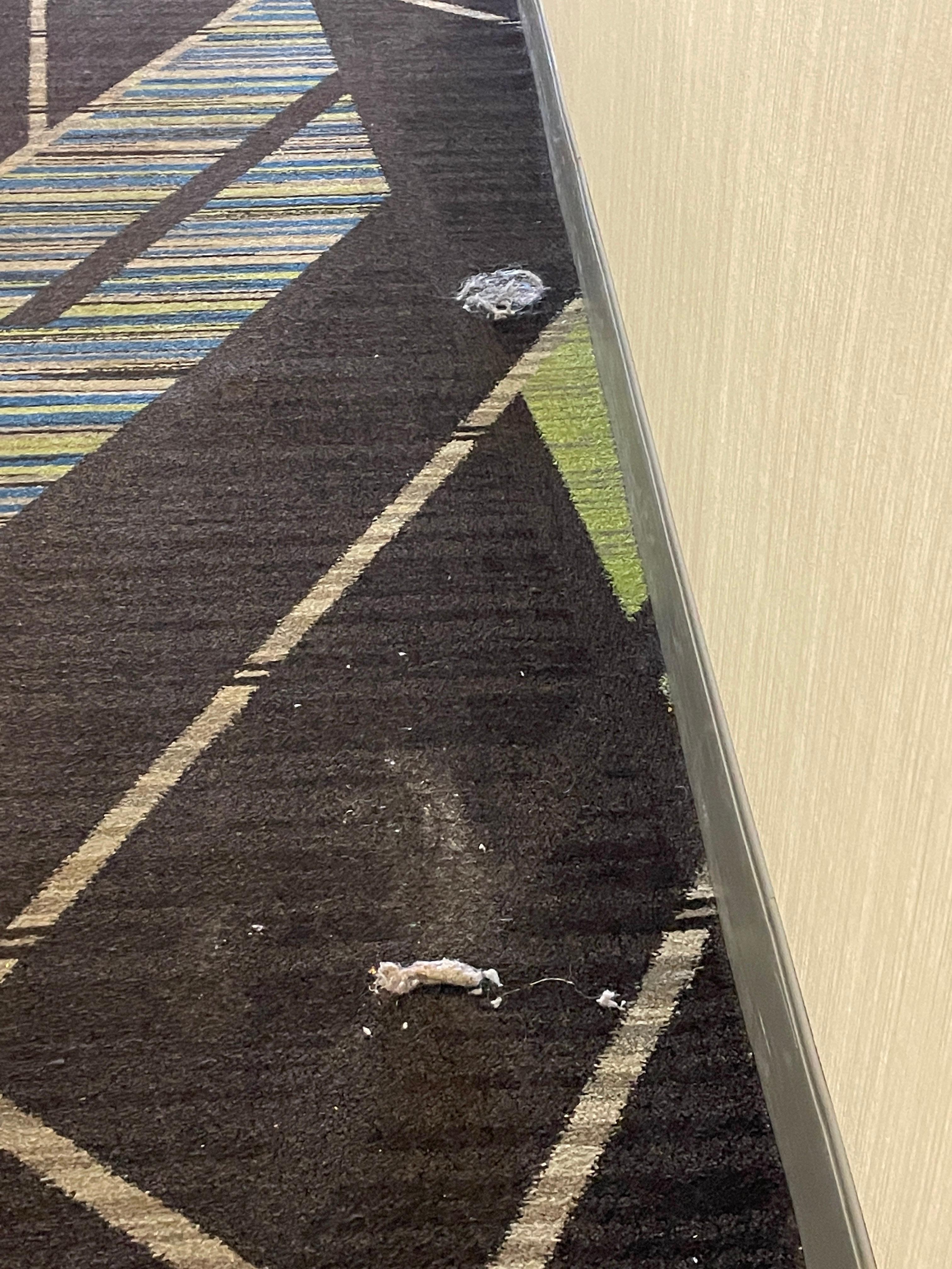 More dirt going down the hallway