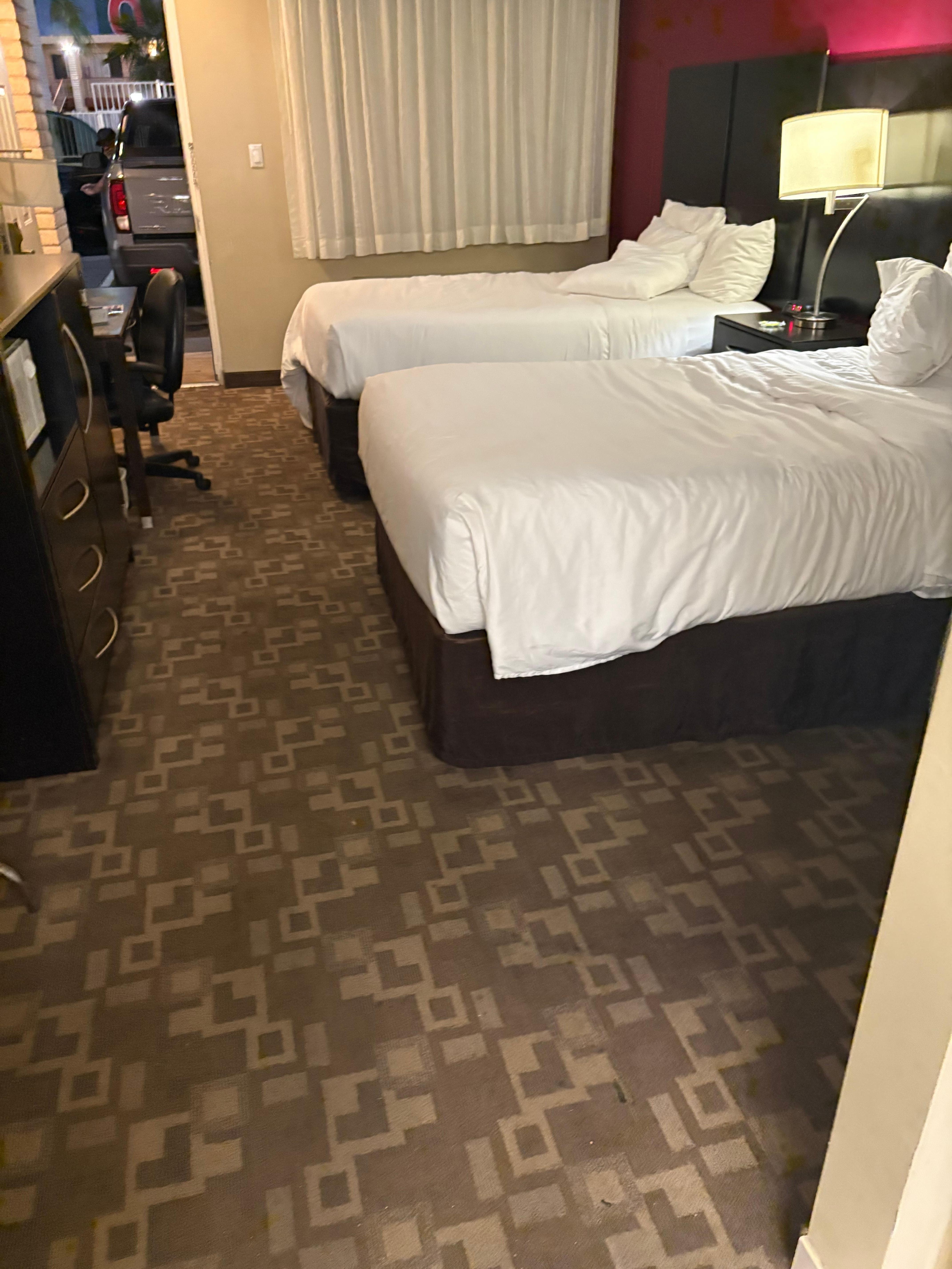 Alfombra sucia y mal olor 