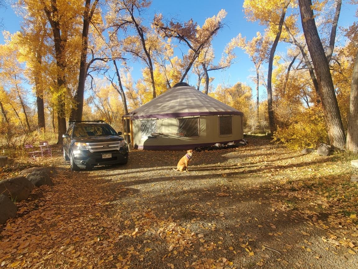 Yurt with full fall colors!