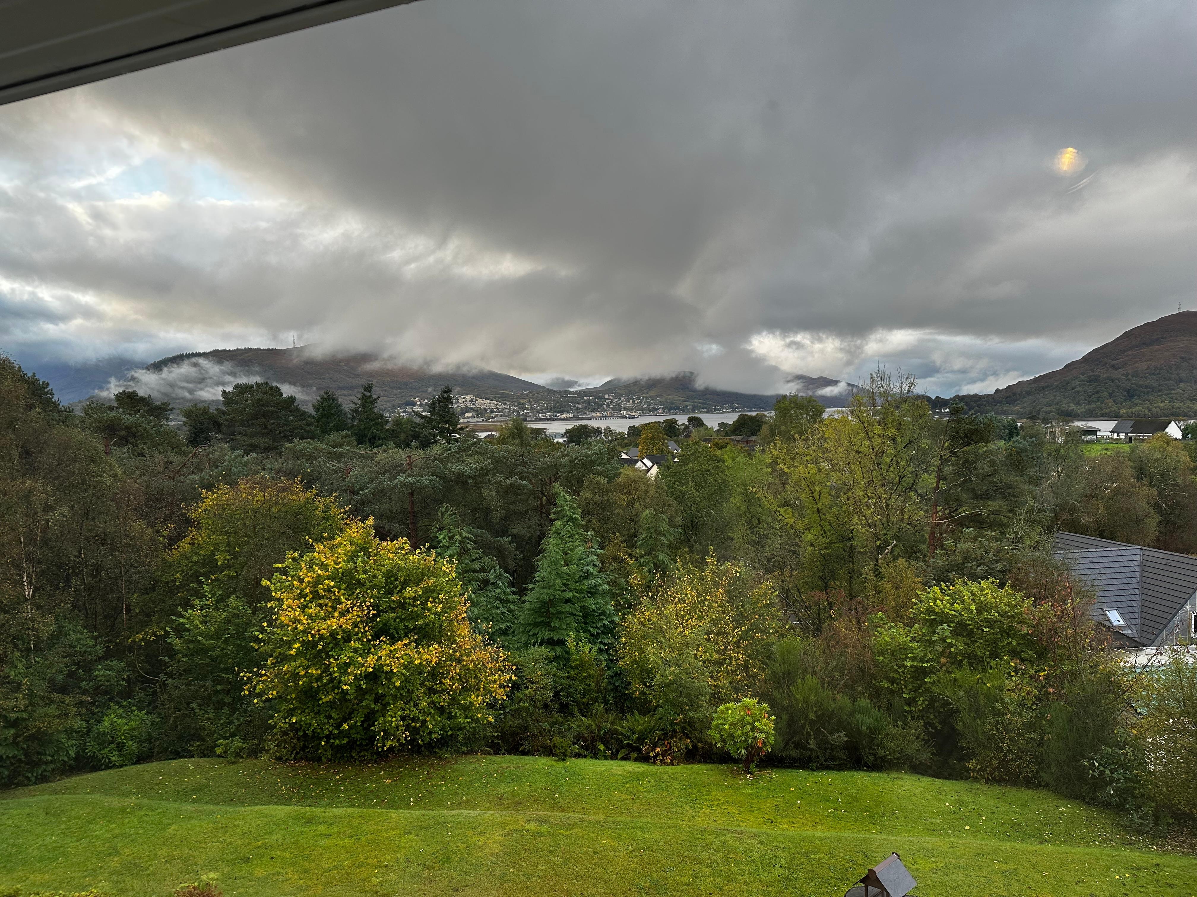 Beautiful hydrangea in October