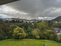 Beautiful hydrangea in October