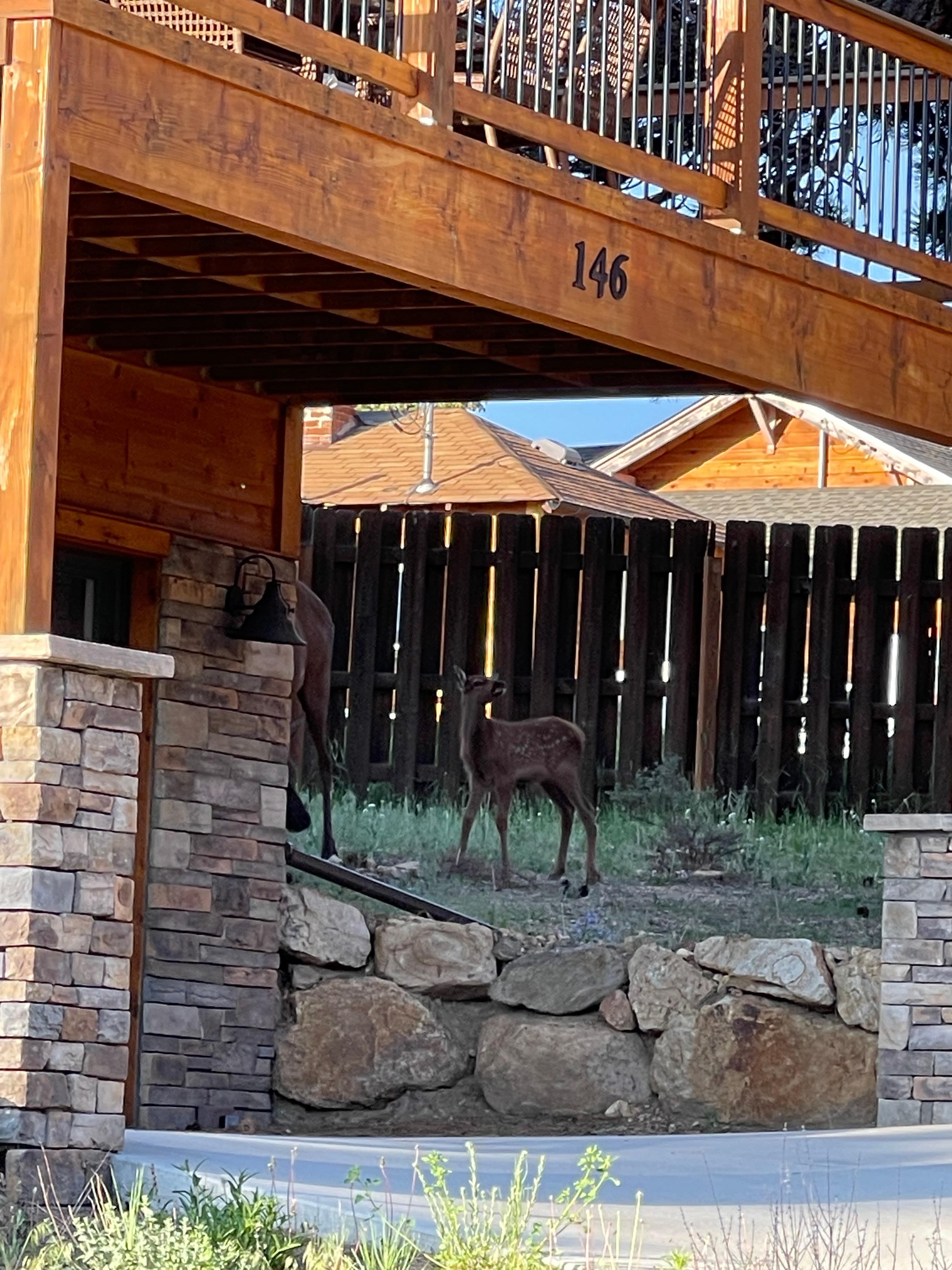 Next door to our rental 