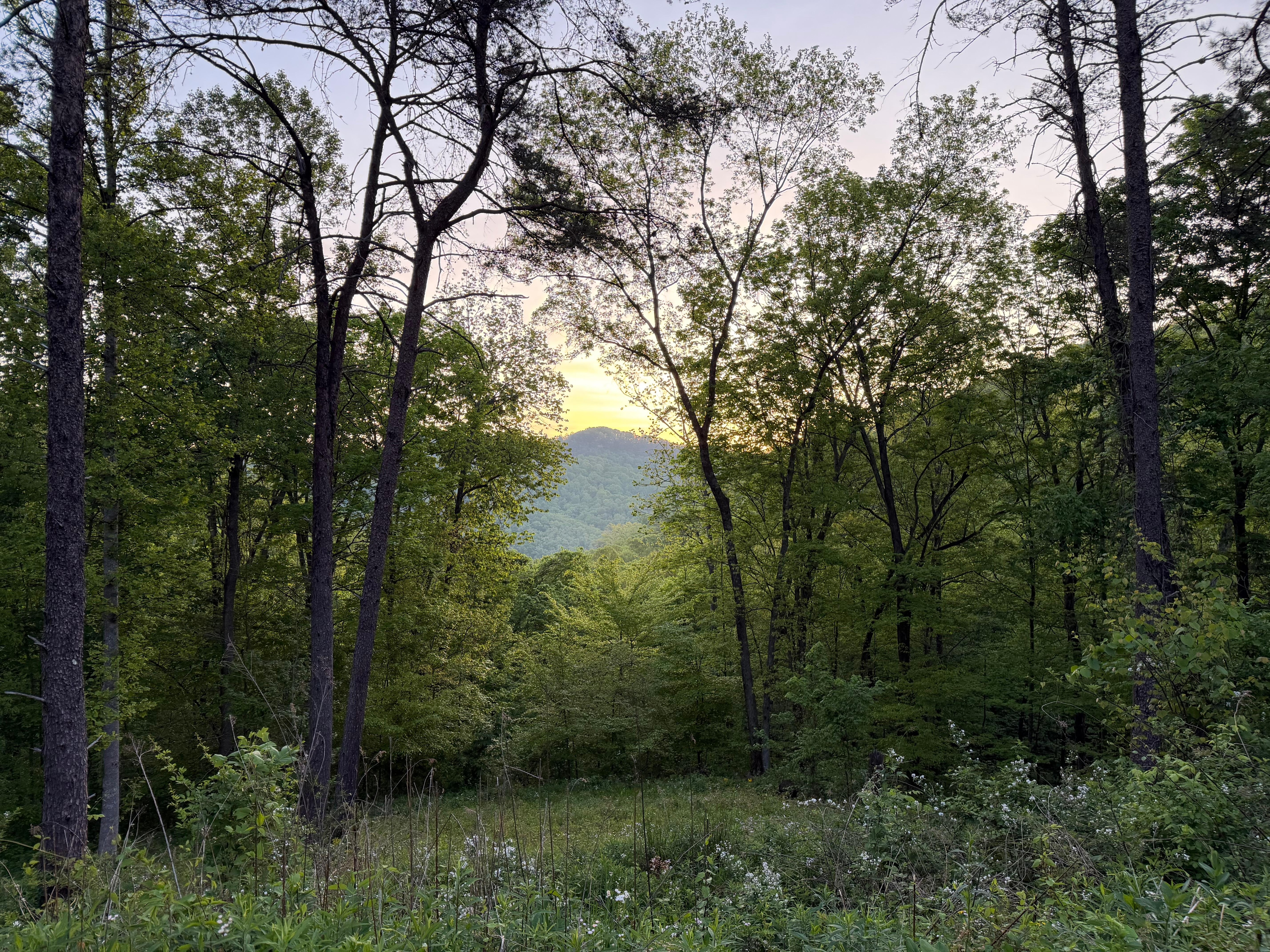 The view from the hot tub 