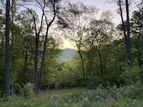 The view from the hot tub