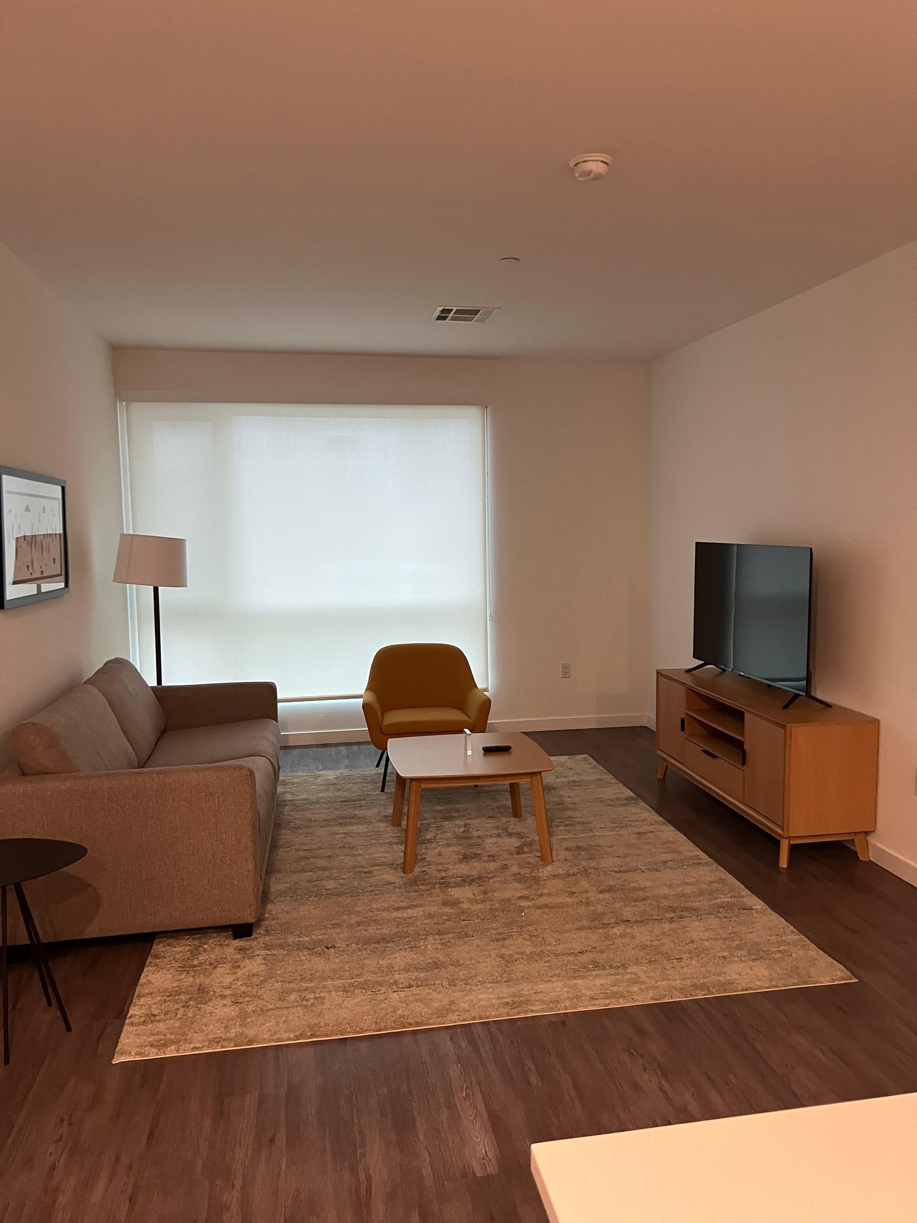 living room area (couch has a pull-out bed)