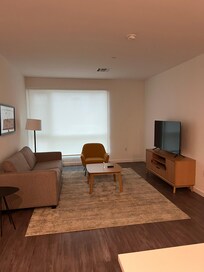 living room area (couch has a pull-out bed)