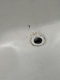 The tub with mold and other spots. I never stepped foot in it.