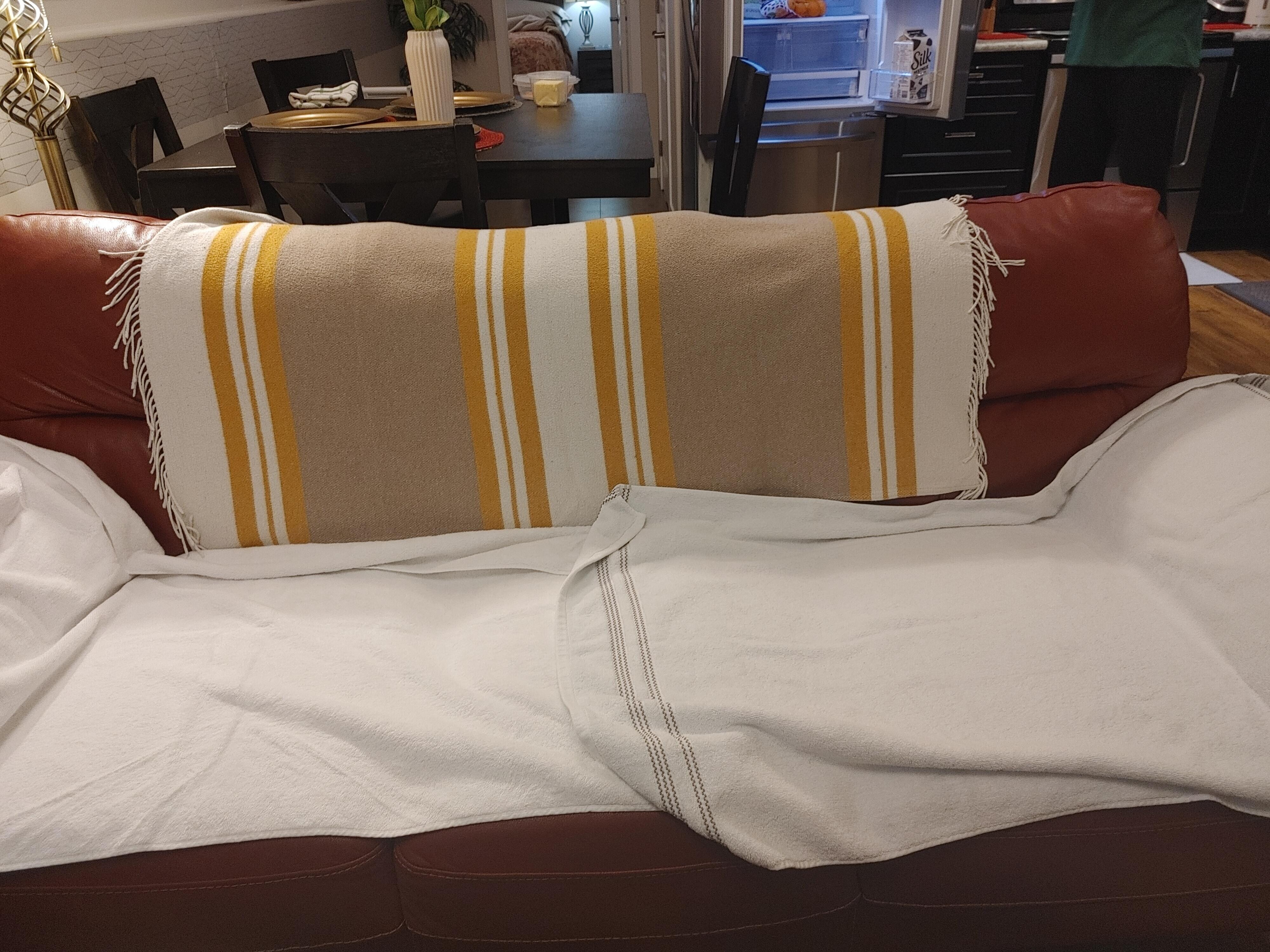 Covered the couch in towel because of what we saw after wiping. 