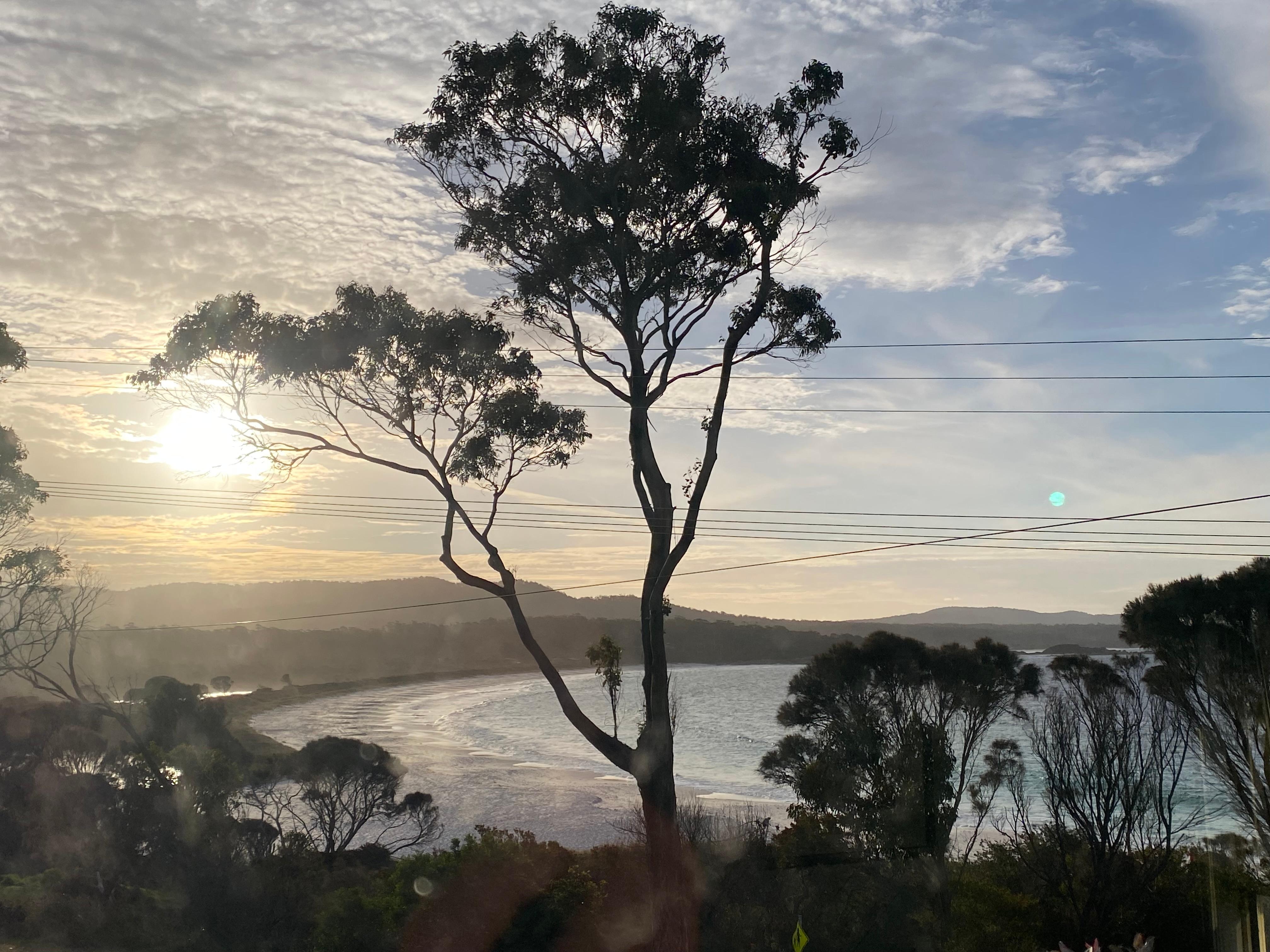 One photo from bedroom window, partner has more, will send later.