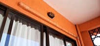 Bird droppings