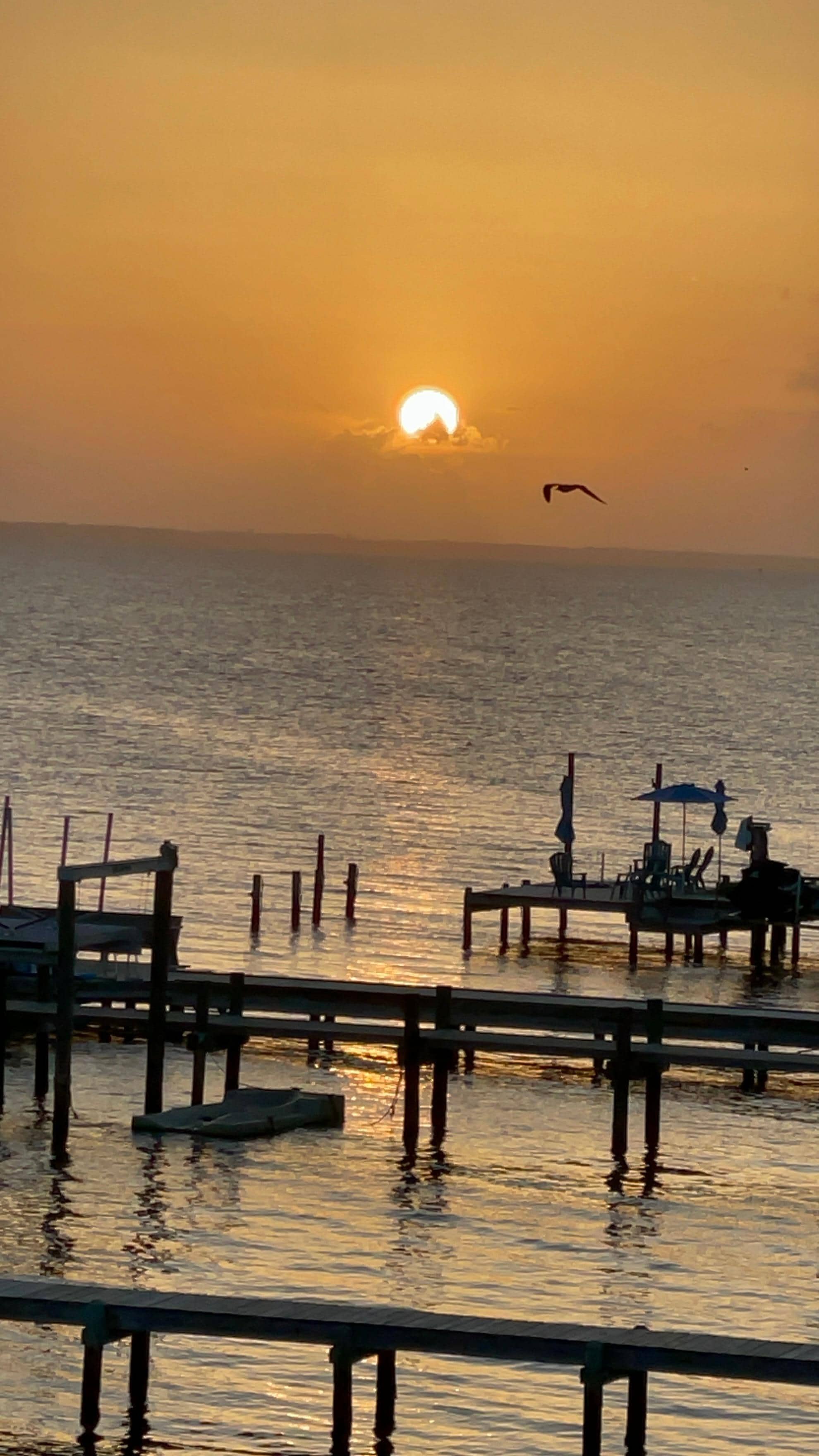 Sunrise from our deck
