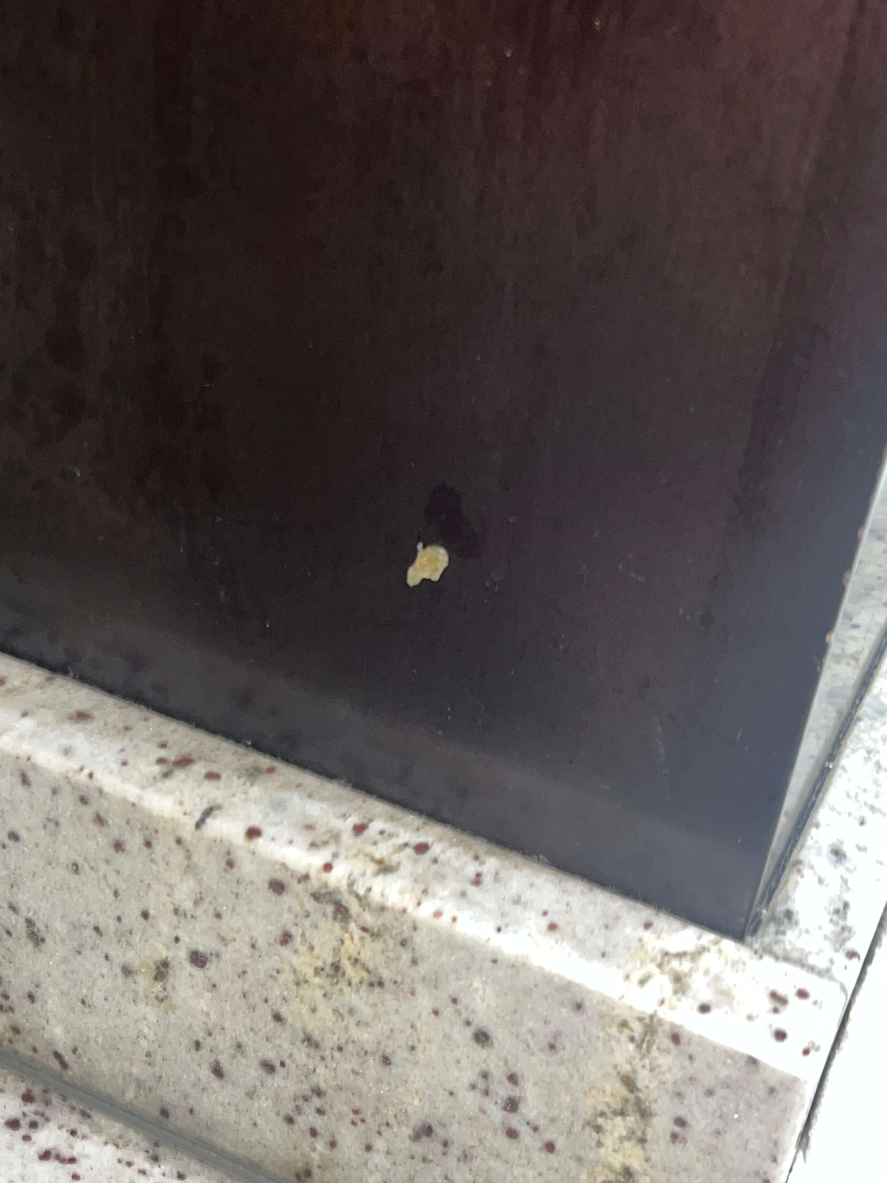 This is from someone on a previous stay picking their nose