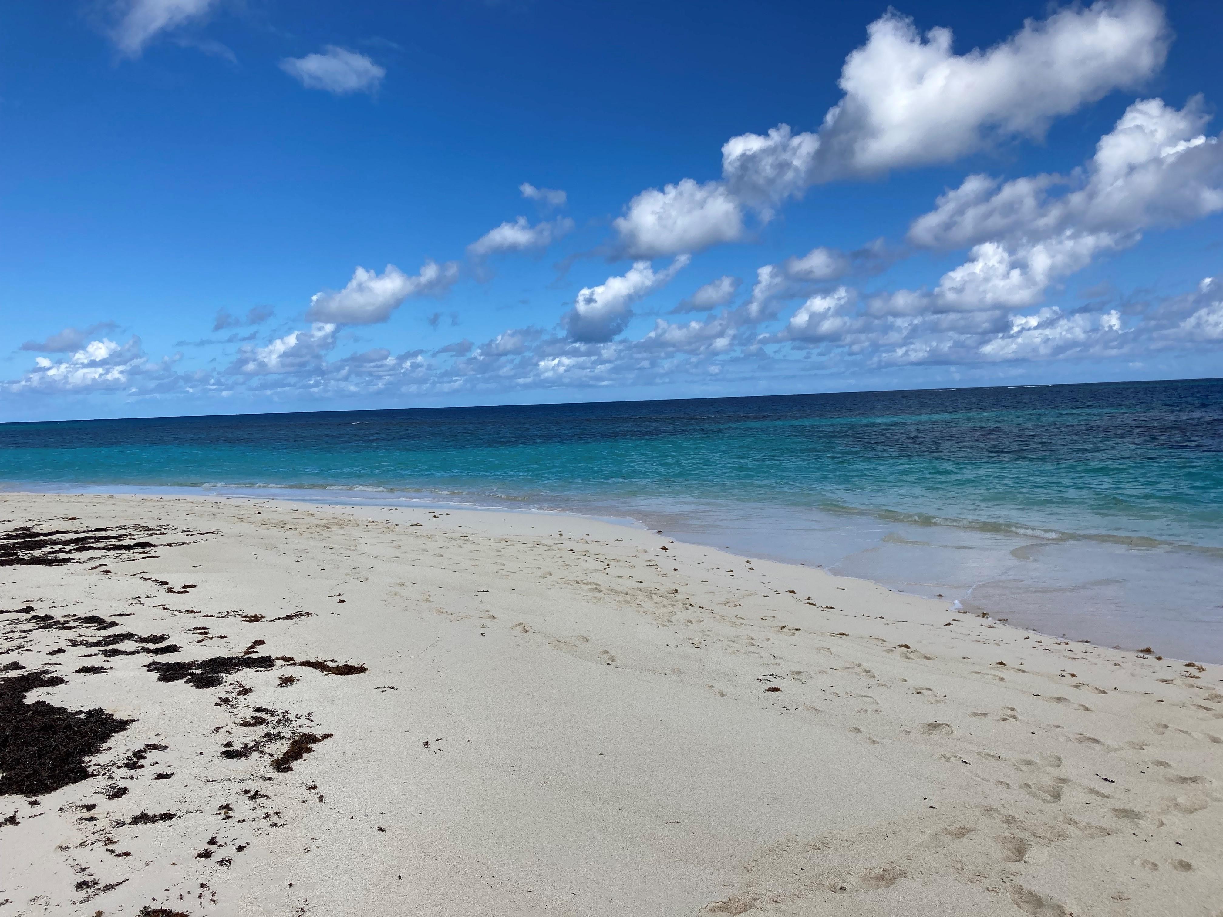 The point between Shoal Bay and east Shoal Bay.