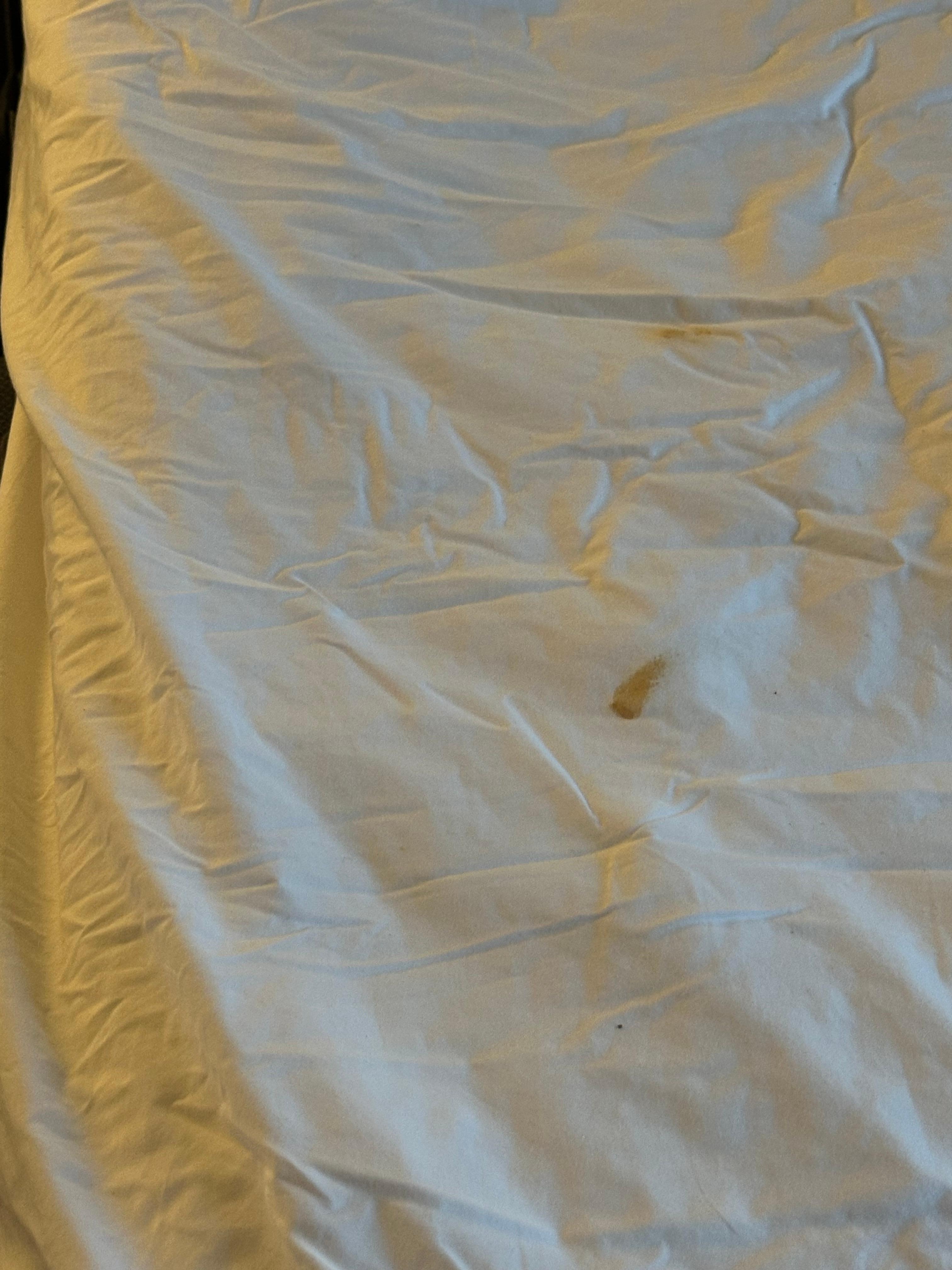 Blood on sofa bed sheets
