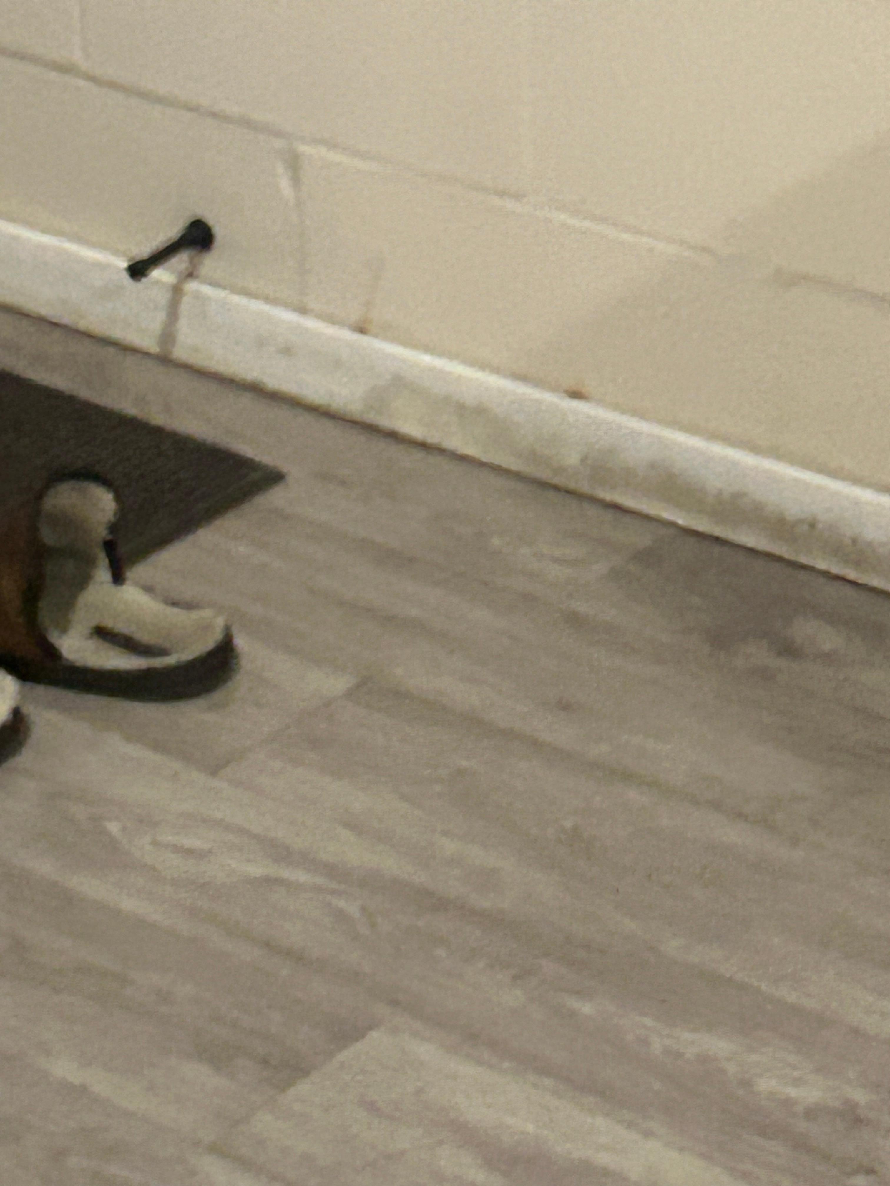 Baseboards were all like thus