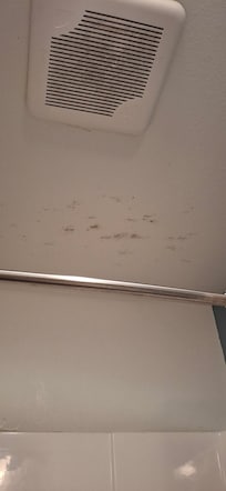 Mold and dirty vent