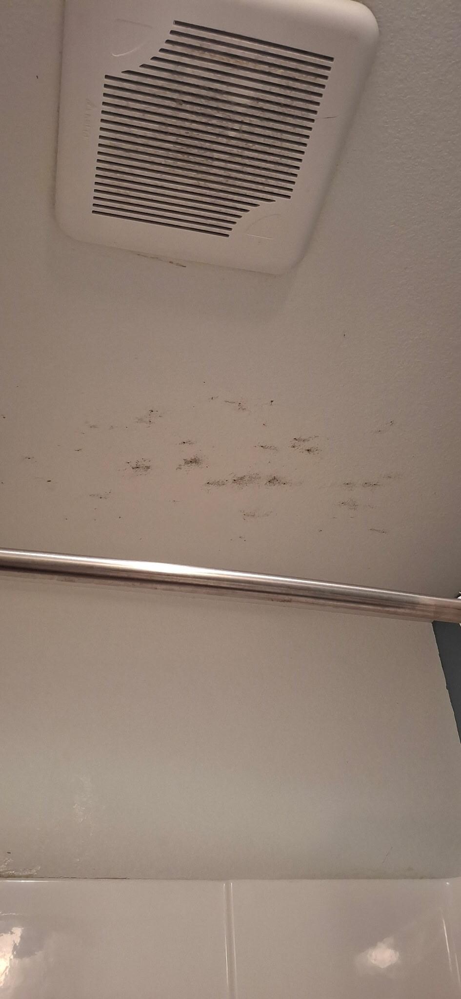 Mold and dirty vent