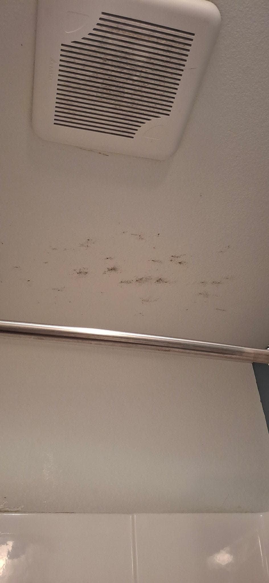 Mold and dirty vent