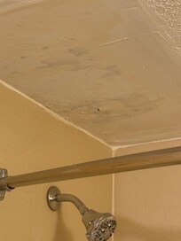 Mold in ahower