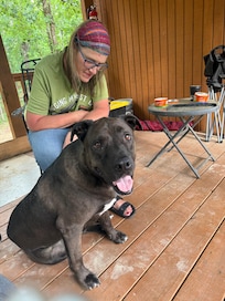Our most precious time spent at the cabin was with the neighbors dog! He visited everyday.