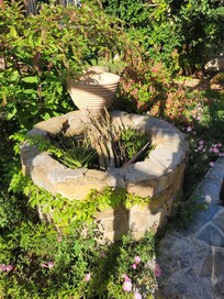 Le jardin