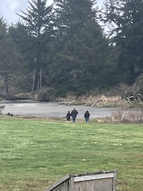 Down by the bay, during tide out.