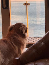 Even our pup loved watching the ocean all day!