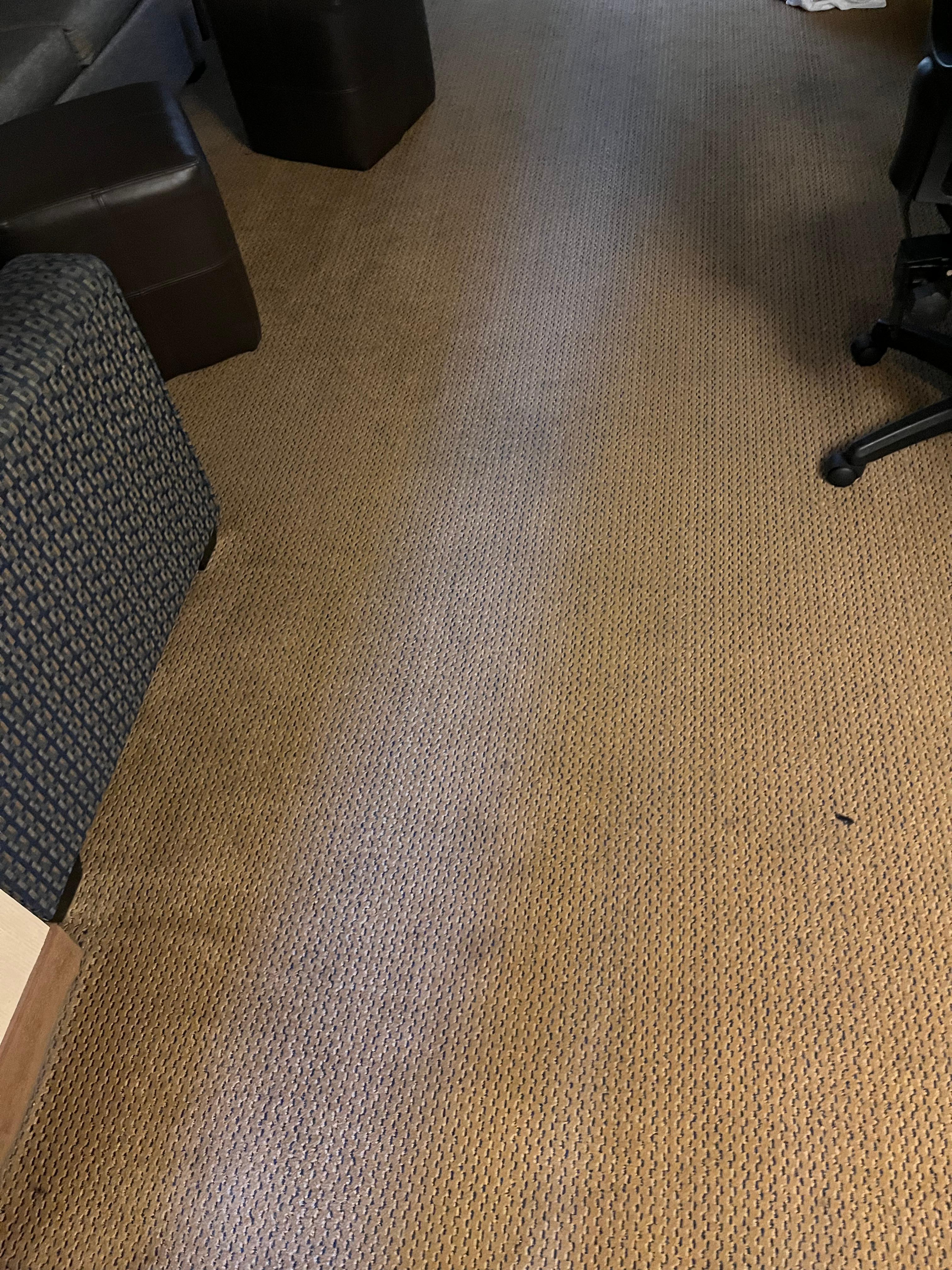 Stains and dirty rugs
