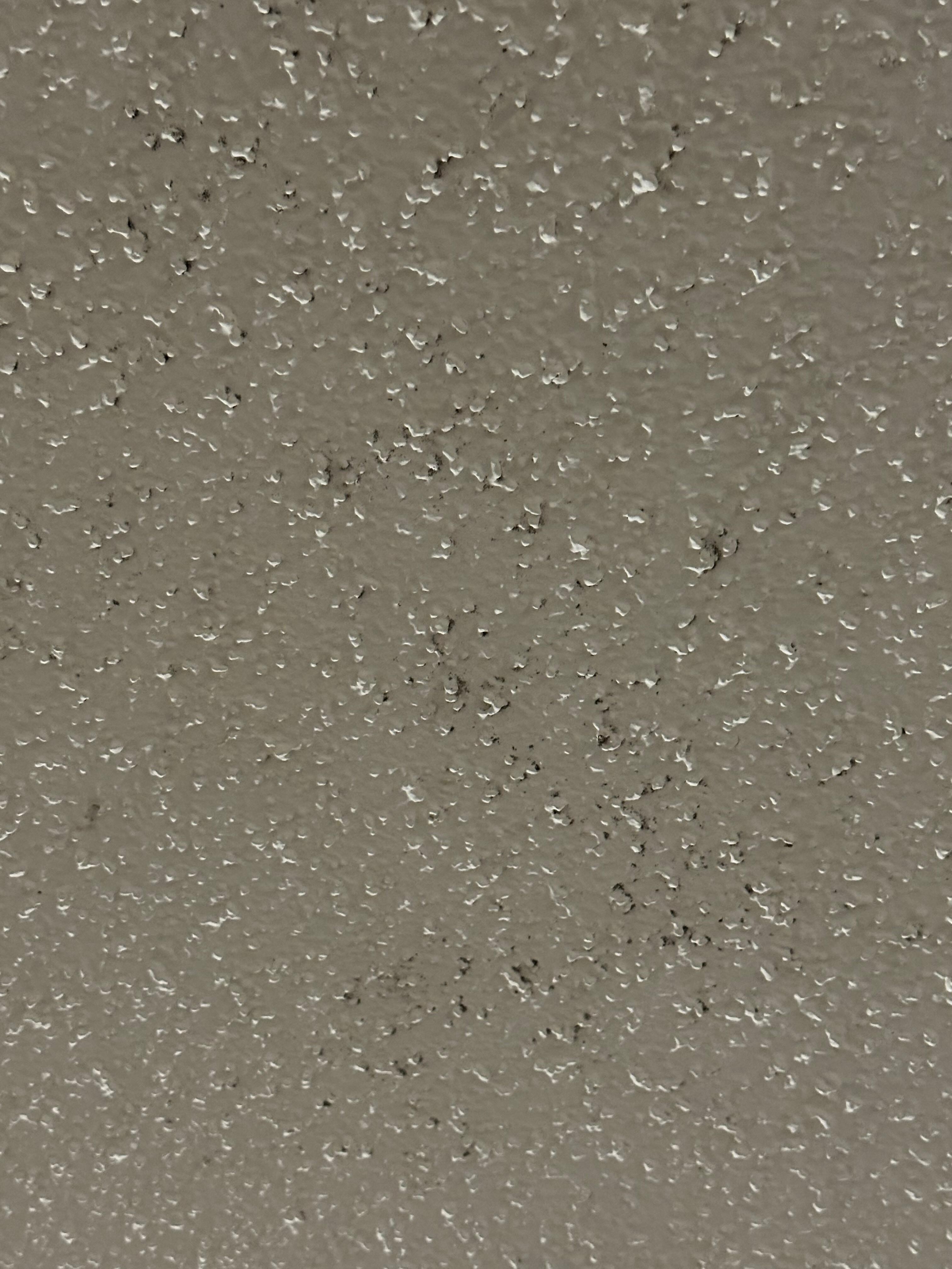Mold on ceiling