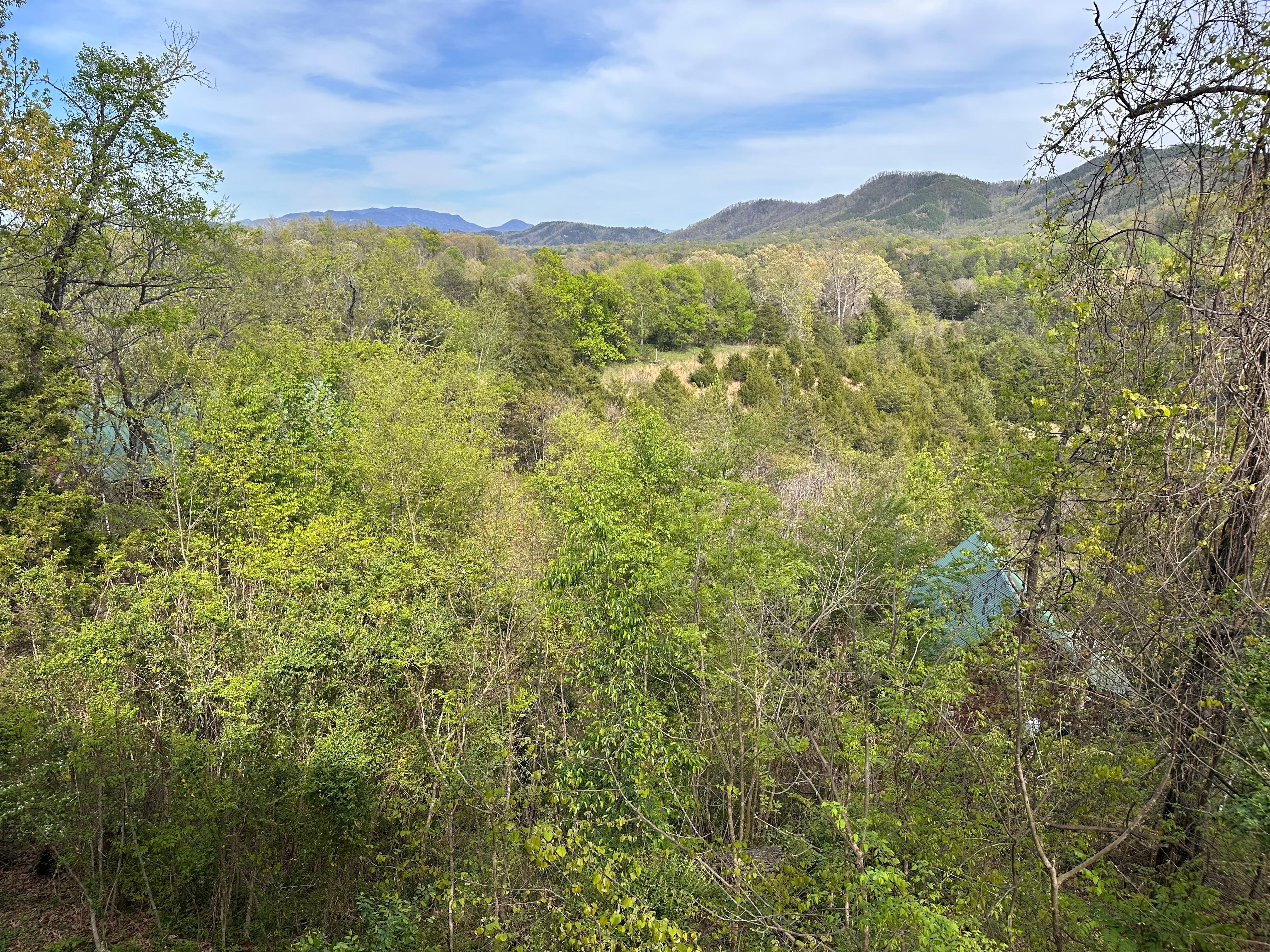 Photos from back deck