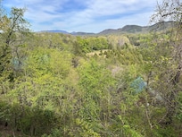 Photos from back deck