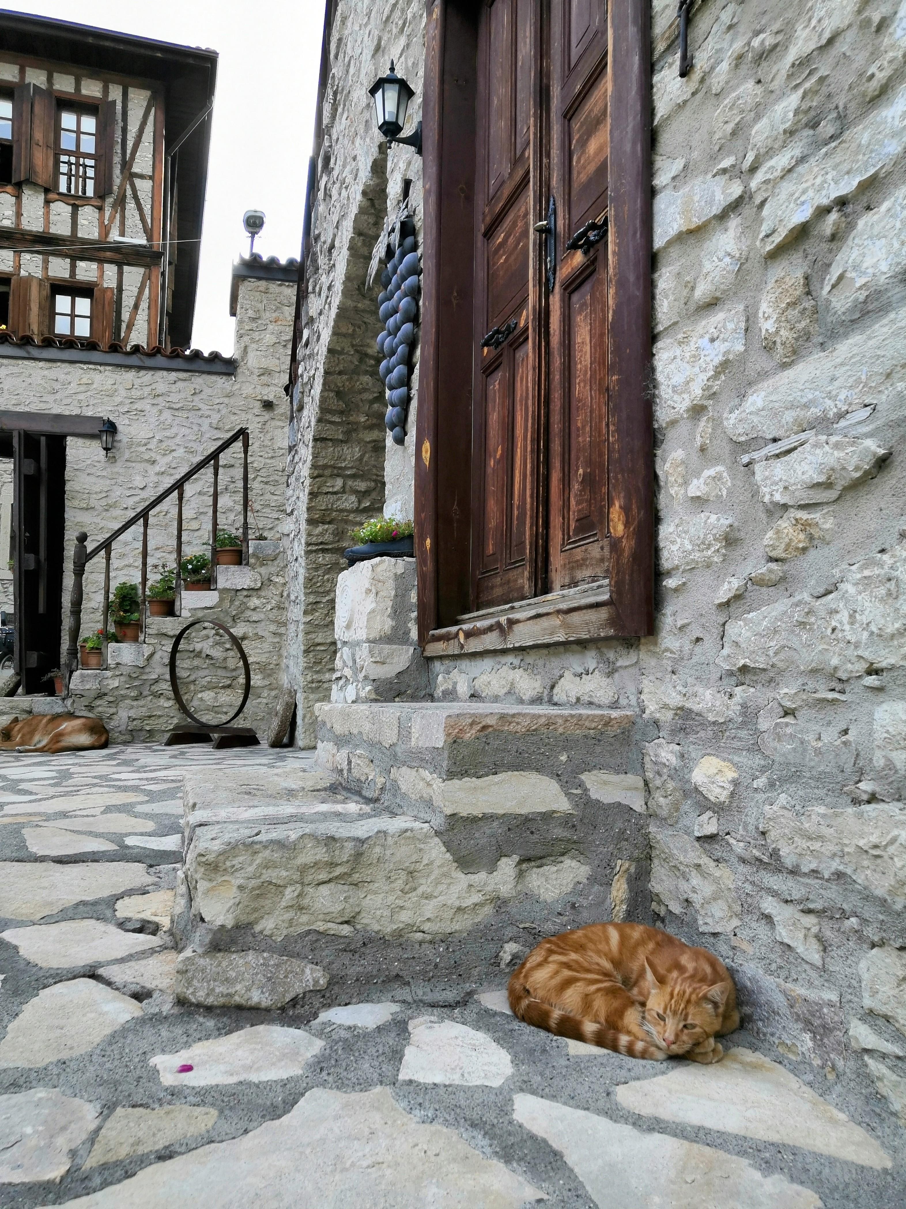 Ballade dans les ruelles avec d'agréable vieilles demeurent qui datent des centaines d'années 