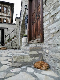 Ballade dans les ruelles avec d'agréable vieilles demeurent qui datent des centaines d'années