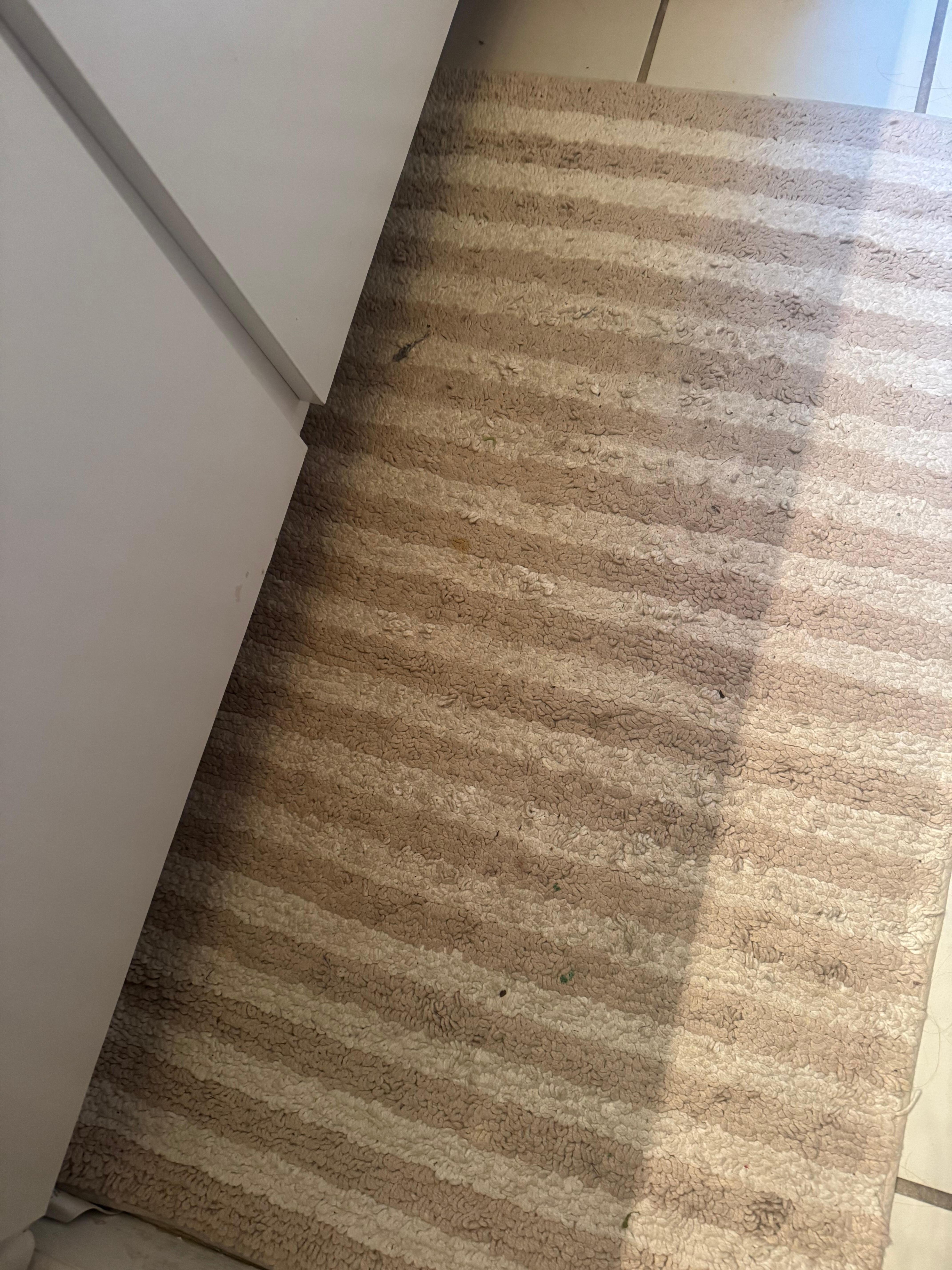 Rug was dirty