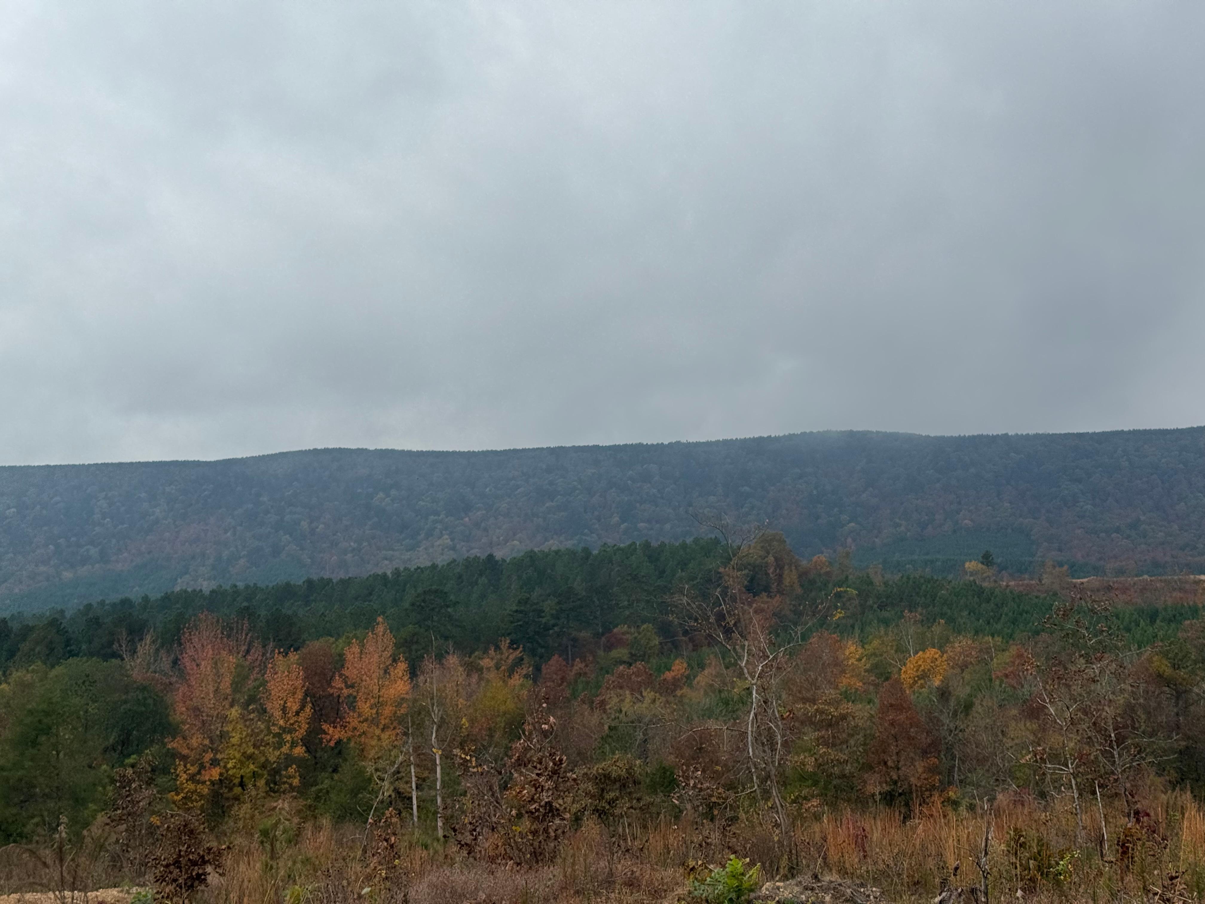 Drive down from cabin