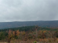 Drive down from cabin