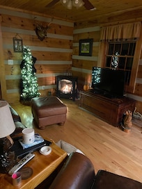Cozy living room with easily workable gas fireplace with remote.