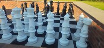 Chess on the park