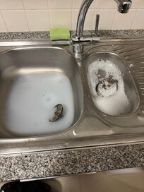 Blocked sink