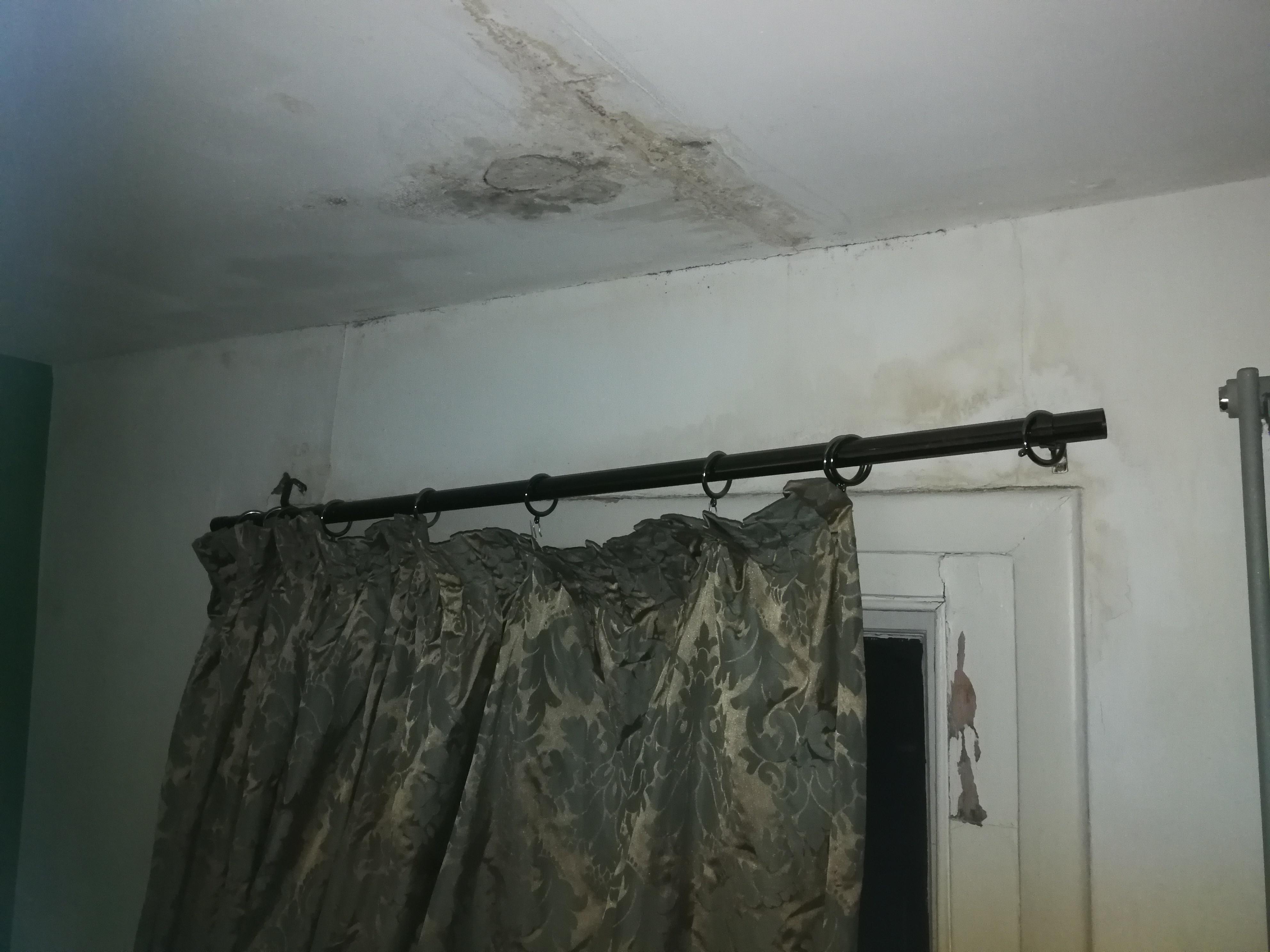 Damp on ceiling and curtain was filthy and mouldy, also hanging off the wall