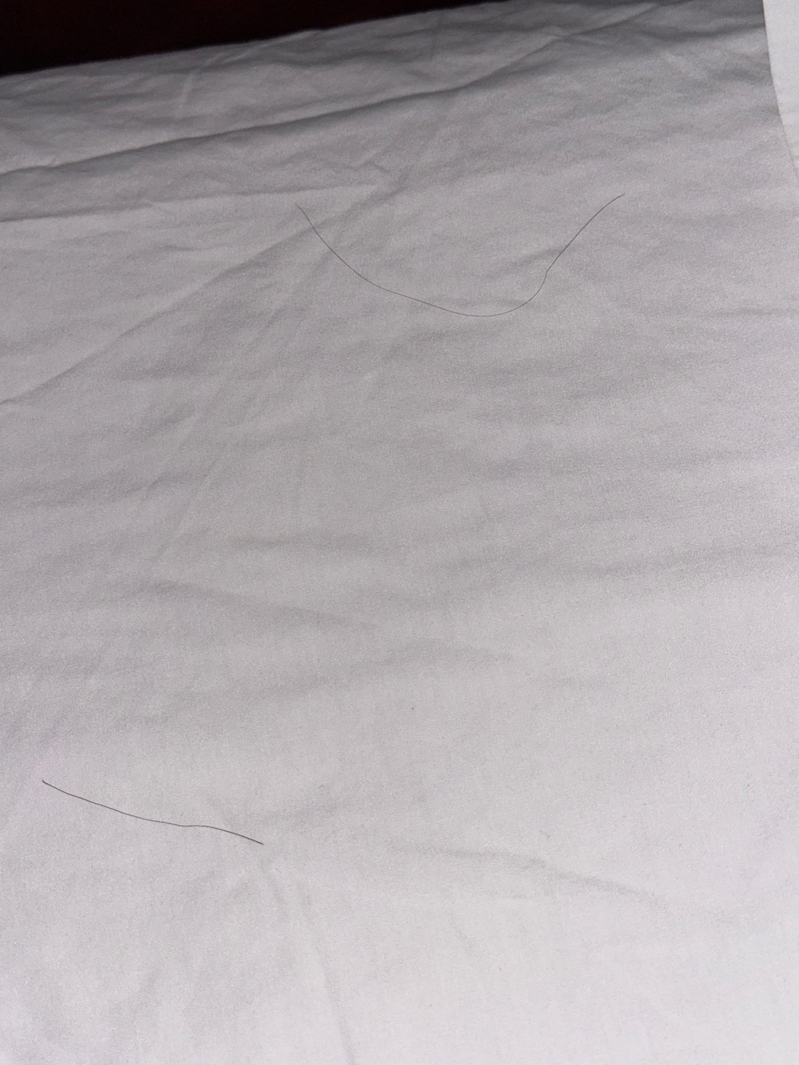 Some of many hairs which was not ours. Also there are stains on bed sheets.