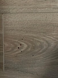 I ran out of room on my post but this is blood found in the spare bedroom.