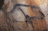 Dessin grotte Chauvet