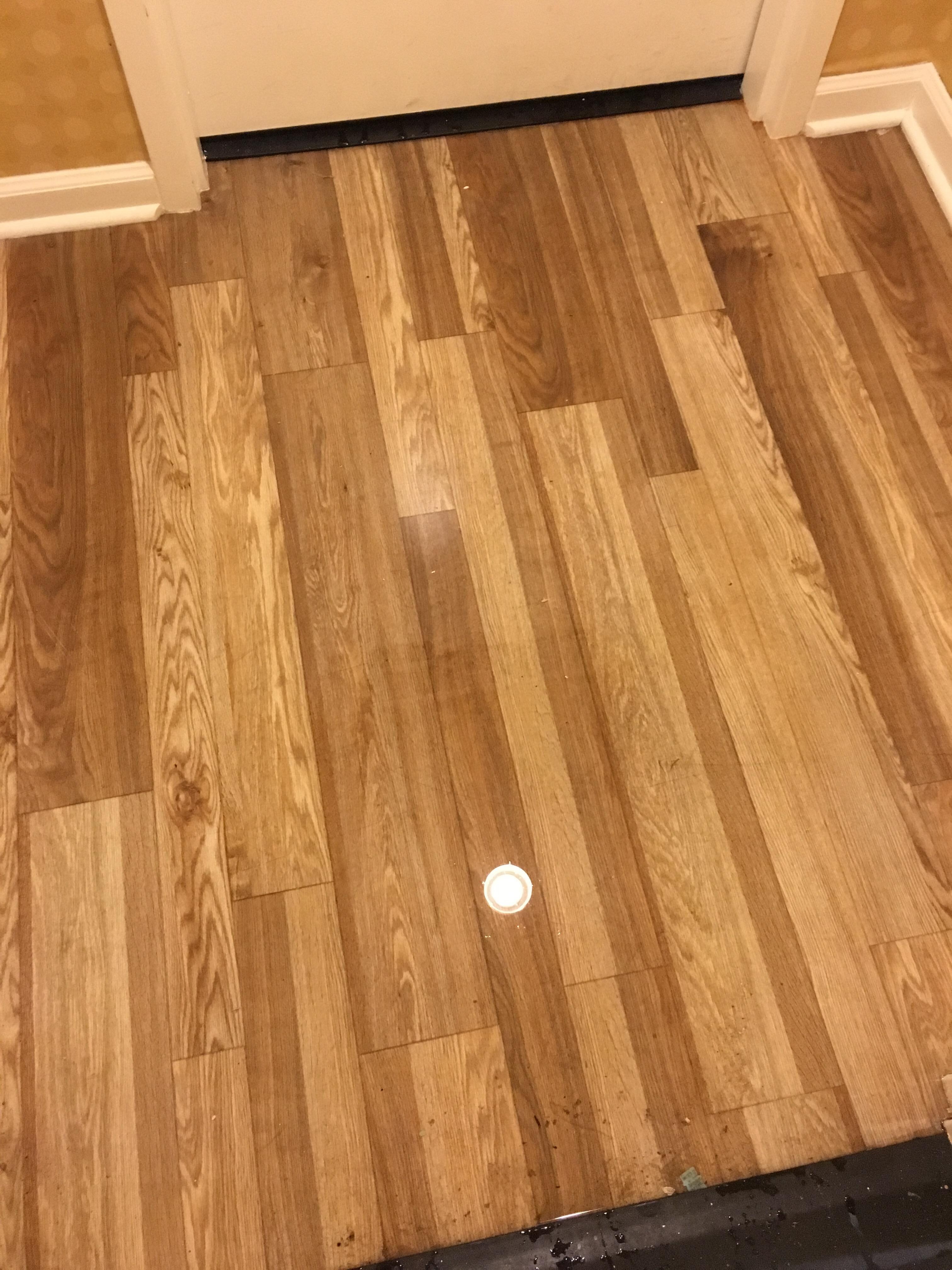 This is a puddle of water right outside the entrance to our room