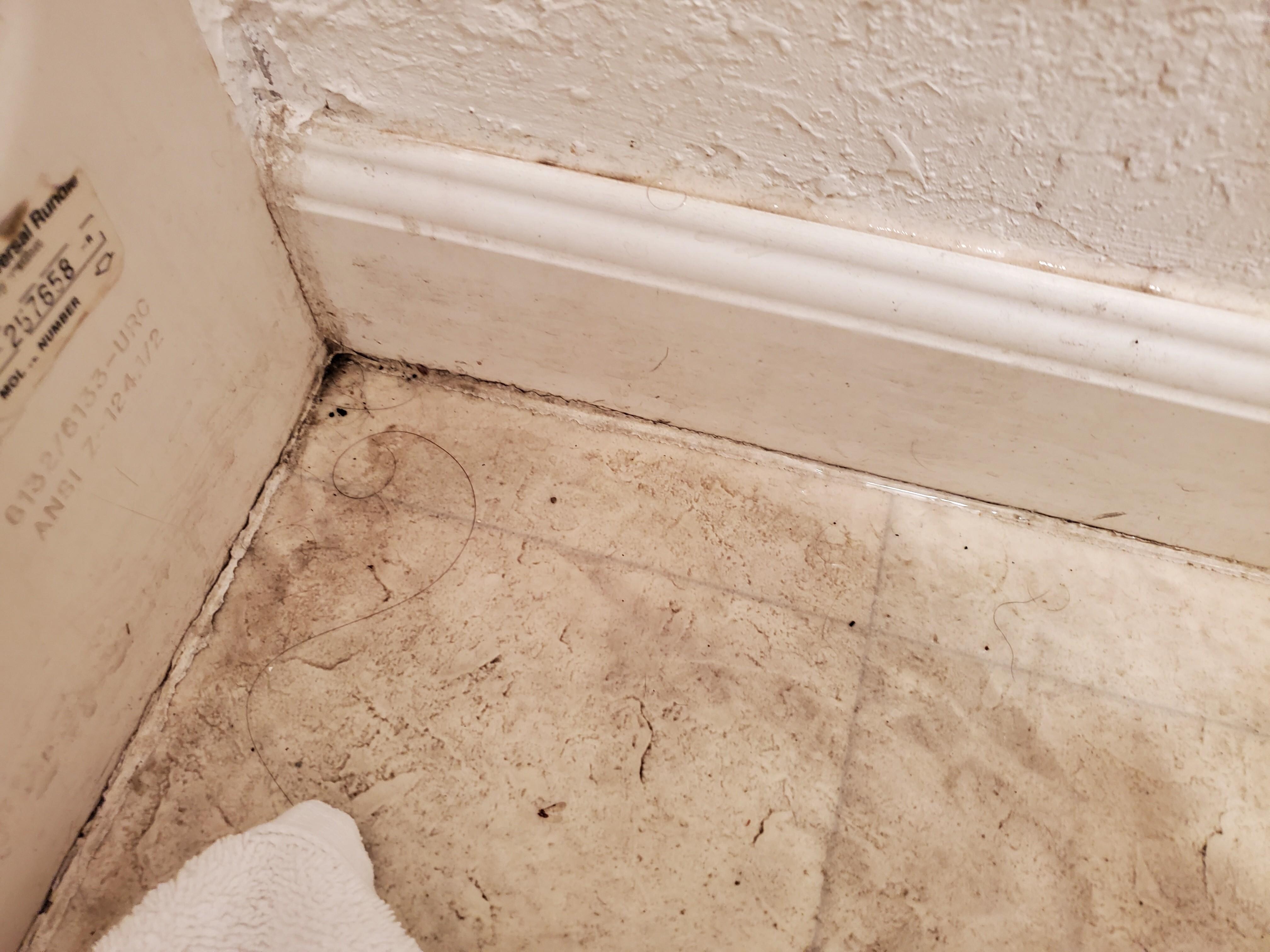 Corner of bathroom