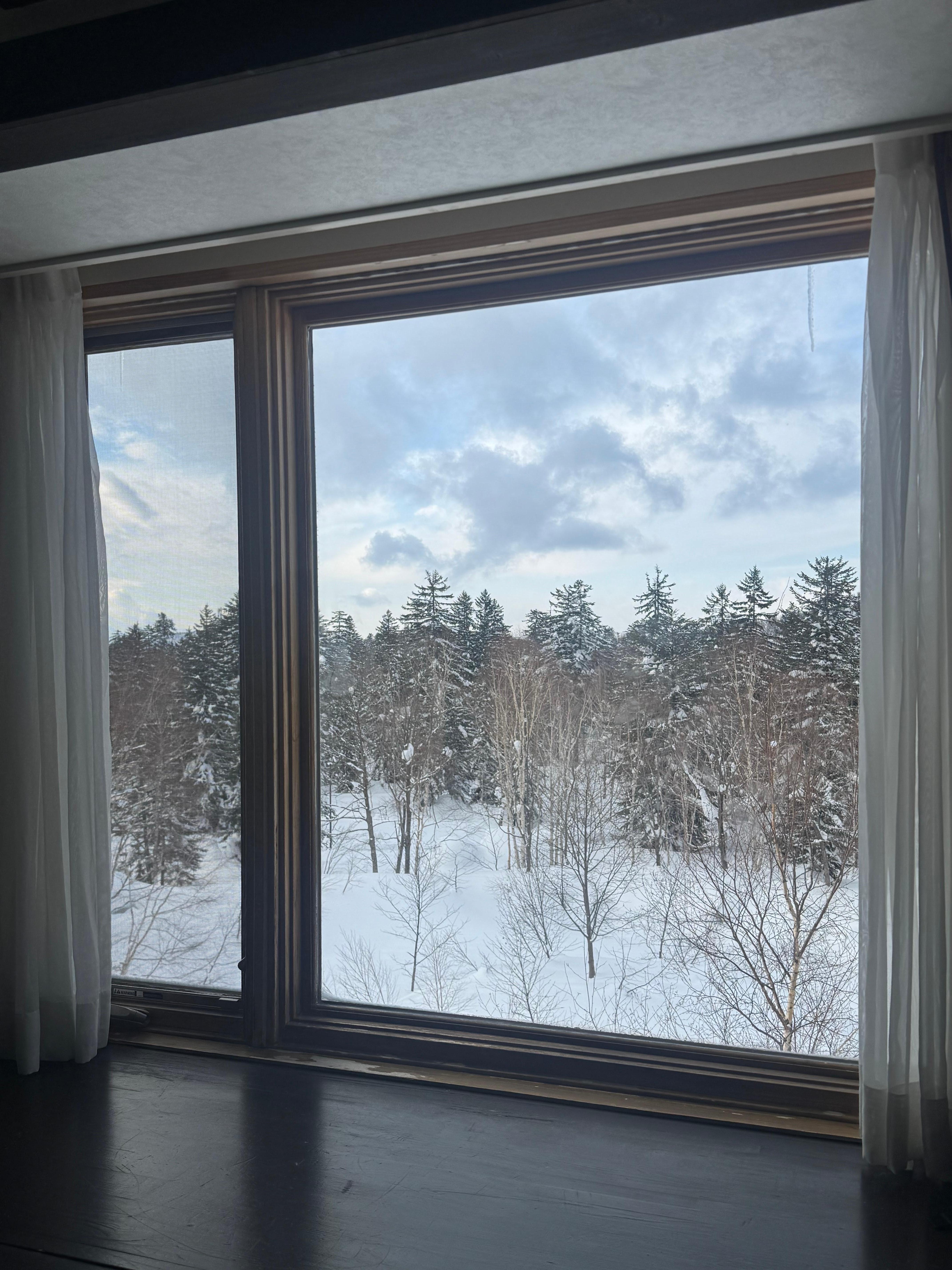 룸에서 창밖 경치