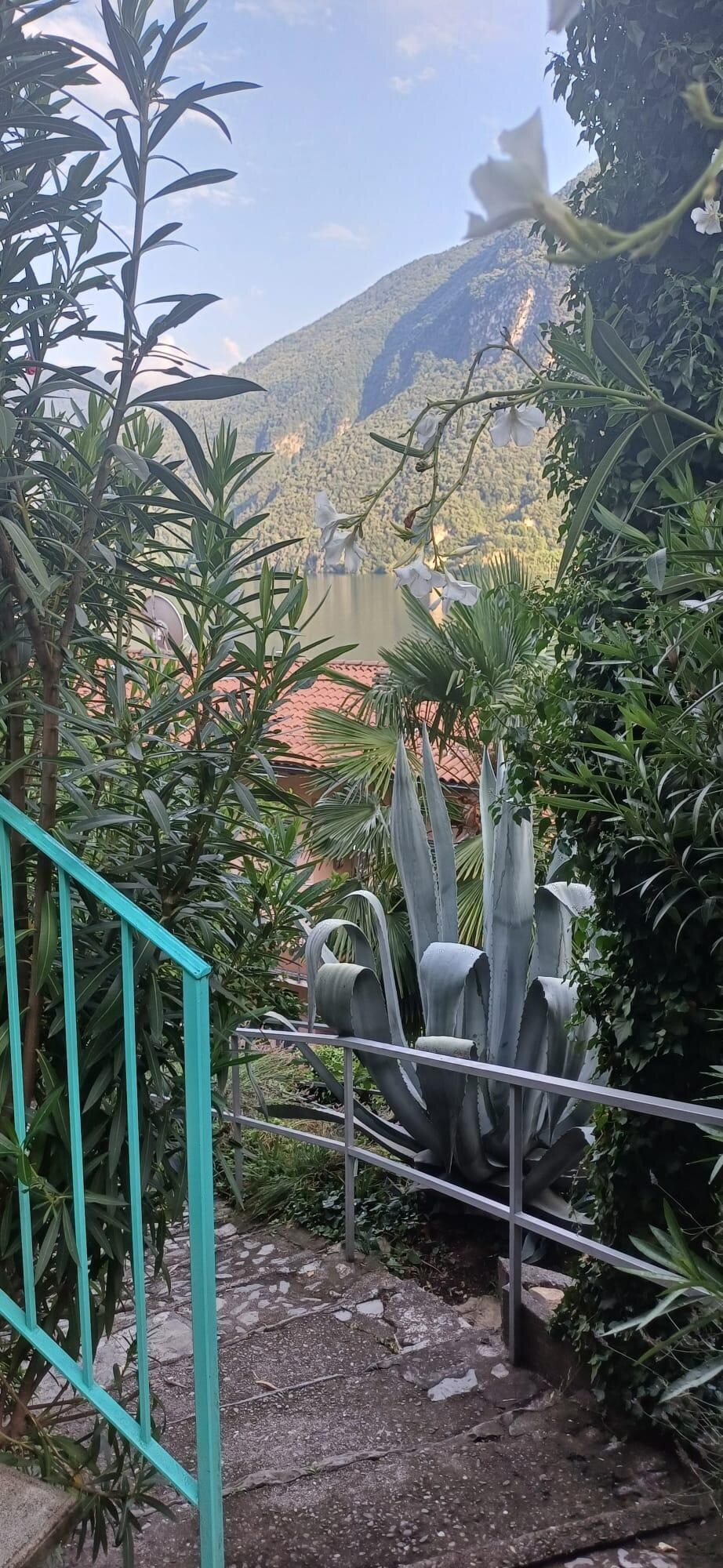 View of the garden and mountains.
