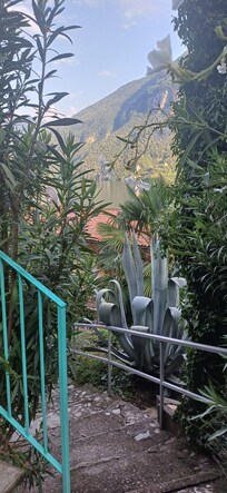 View of the garden and mountains.