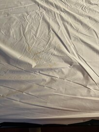 Mattress pad on sofa bed not clean